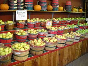 Cookbooks Red Apple Barn