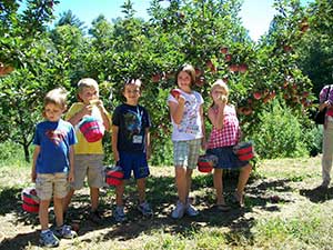Pick Your Own apples at the Apple Barn
							 in the orchard in Ellijay, Ga